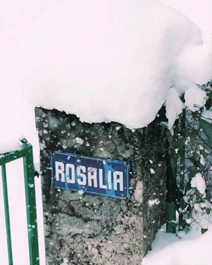 Villa Rosalia Villanúa Esterno foto